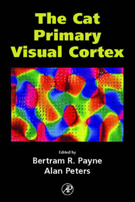 The Cat Primary Visual Cortex - 