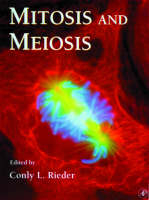 Mitosis and Meiosis - 