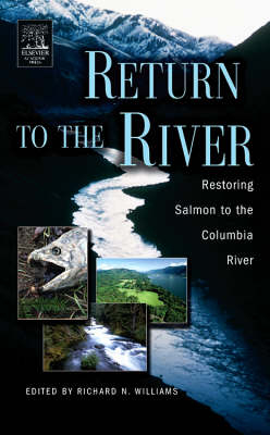 Return to the River - 