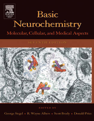 Basic Neurochemistry - 