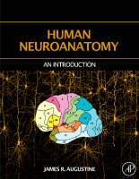 Human Neuroanatomy - James R. Augustine