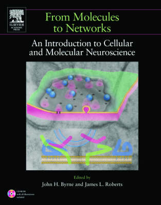 From Molecules to Networks - 