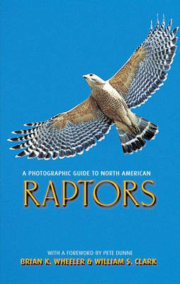 A Photographic Guide to North American Raptors - Brian K. Wheeler, William S. Clark