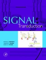 Signal Transduction - Bastien D. Gomperts, ljsbrand M. Kramer, Peter E.R. Tatham