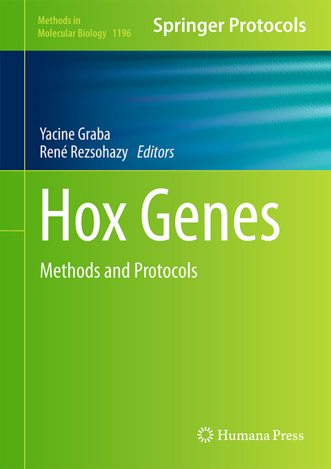 Hox Genes - 