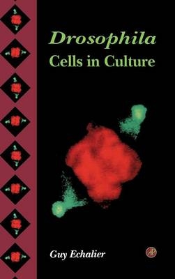 Drosophila Cells in Culture - Guy Echalier