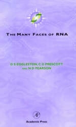 The Many Faces of RNA - 