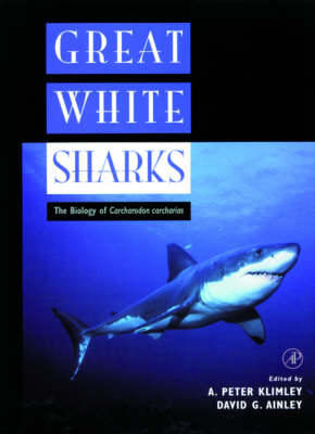 Great White Sharks - 