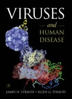 Viruses and Human Disease - Ellen G. Strauss, James H. Strauss