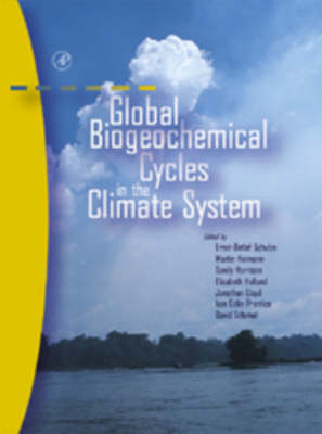 Global Biogeochemical Cycles in the Climate System - Ernst-Detlef Schulze, Martin Heimann, Sandy Harrison, Elisabeth Holland, Jonathan Lloyd