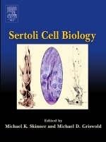 Sertoli Cell Biology - 