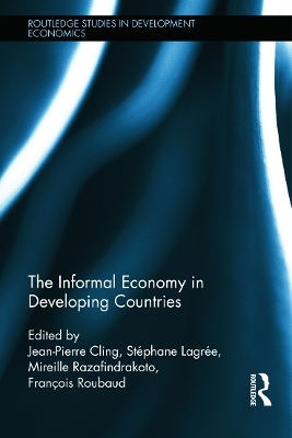 The Informal Economy in Developing Countries - 