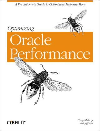 Optimizing Oracle Performance - Cary Millsap