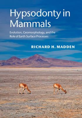 Hypsodonty in Mammals - Richard H. Madden