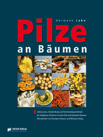 Pilze an Bäumen - Hermann Jahn