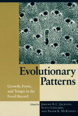 Evolutionary Patterns - 