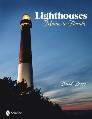 Lighthouses - David Biggy