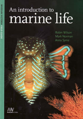 An Introduction to Marine Life - Robin Wilson, Mark Norman, Anna Syme