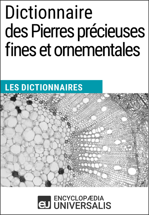 Dictionnaire des Pierres précieuses fines et ornementales -  Encyclopaedia Universalis