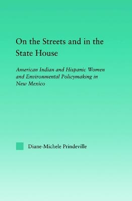 On the Streets and in the State House - Diane-Michele Prindeville