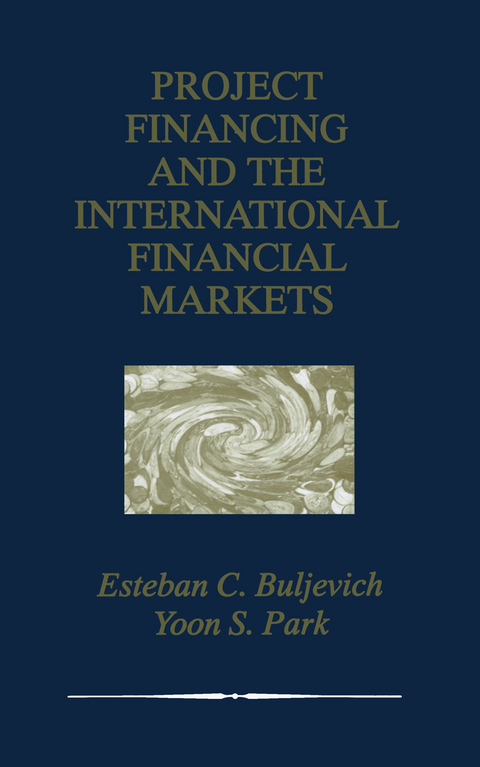 Project Financing and the International Financial Markets - Esteban C. Buljevich, Yoon S. Park