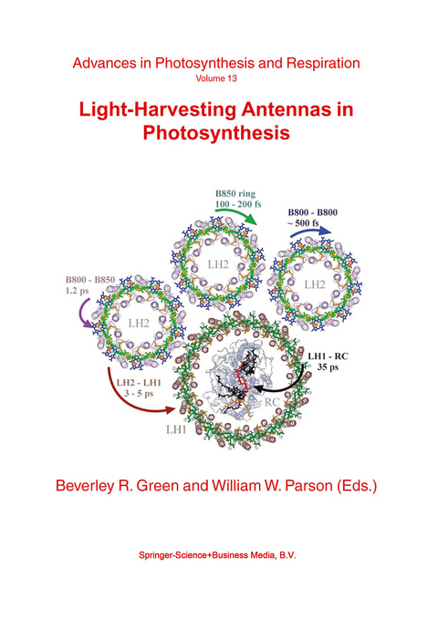 Light-Harvesting Antennas in Photosynthesis - 