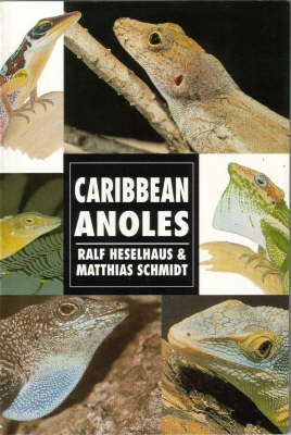 Caribbean Anoles - Ralf Heselhaus, Matthias Schmidt