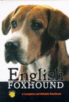 English Foxhound - Sally Latimer, Suzy Reingold