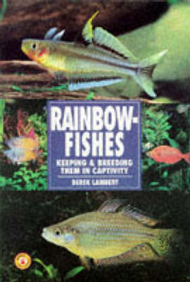 Rainbow Fishes - Derek Lambert