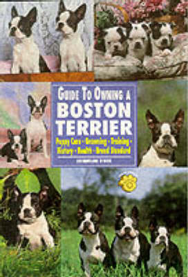 Guide to Owning a Boston Terrier - Jacqueline O'Neil