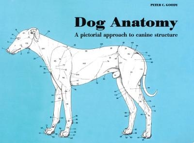 Dog Anatomy - Peter Goody