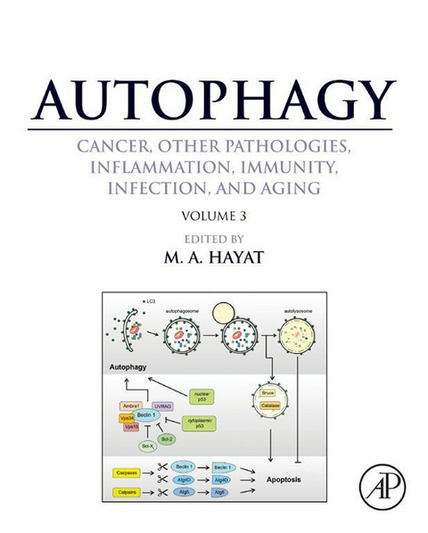 Autophagy: Cancer, Other Pathologies, Inflammation, Immunity, Infection, and Aging - 