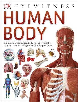 Human Body -  Dk