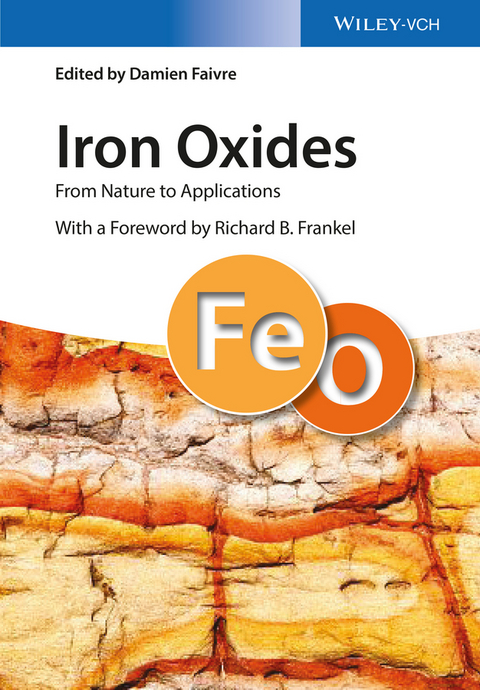 Iron Oxides - Damien Faivre