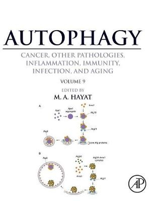 Autophagy: Cancer, Other Pathologies, Inflammation, Immunity, Infection, and Aging - 