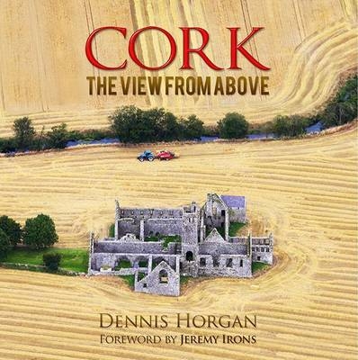 Cork: The View from Above - Dennis Horgan