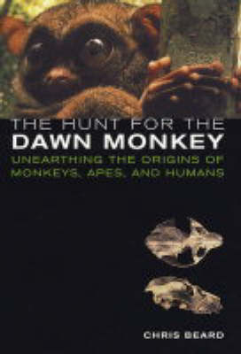 The Hunt for the Dawn Monkey - Christopher Beard