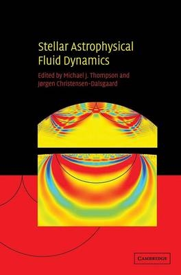 Stellar Astrophysical Fluid Dynamics - 