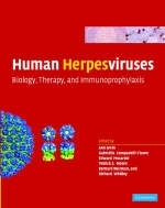 Human Herpesviruses - 