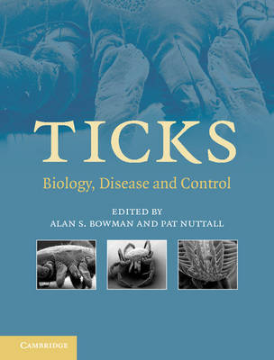 Ticks - 