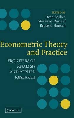 Econometric Theory and Practice - 