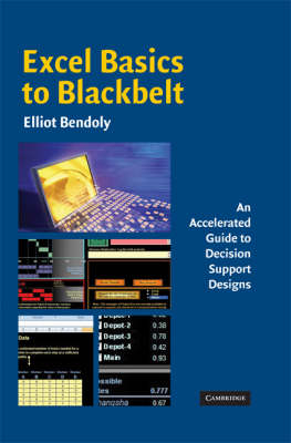 Excel Basics to Blackbelt - Elliot Bendoly