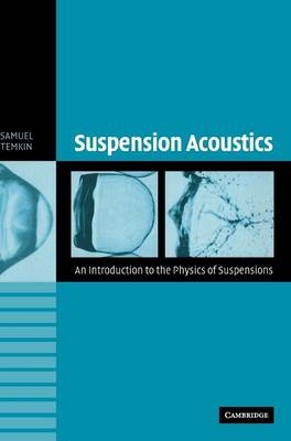 Suspension Acoustics - Samuel Temkin