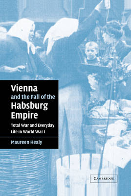 Vienna and the Fall of the Habsburg Empire - Maureen Healy