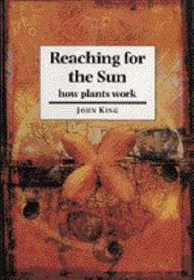 Reaching for the Sun - John King