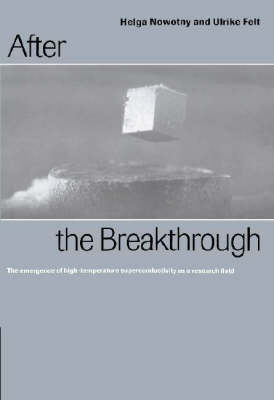 After the Breakthrough - Helga Nowotny, Ulrike Felt