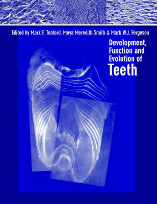 Development, Function and Evolution of Teeth - 