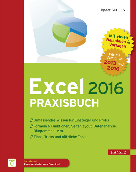 Excel 2016 Praxisbuch - Ignatz Schels