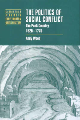 The Politics of Social Conflict - Andy Wood