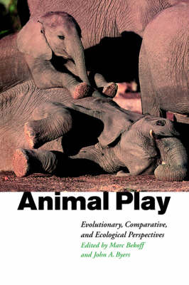 Animal Play - 